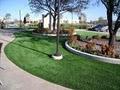 Texas Turf and Pavers, Artificial Grass Dallas image 2