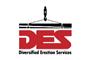 Diversified Erection Services logo