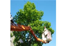 Edwards Tree & Land Clearing Services Inc image 3