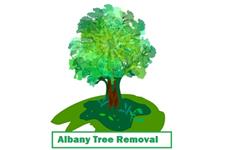 Albany Tree Removal image 1
