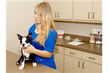 Lakeway Animal Medical & Surgical Clinic image 3