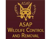  ASAP Wildlife Control & Removal LLC  image 1