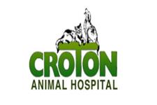 Croton Animal Hospital image 1