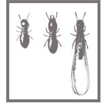 Connor's Termite & Pest Control image 3