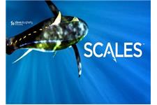 Scales Gear image 2
