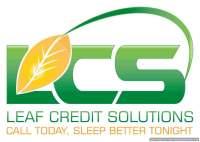Leaf Credit Solutions image 1