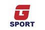 GFE Sport provides US Open Tennis Tickets logo