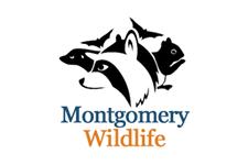 Montgomery Wildlife Removal              image 1