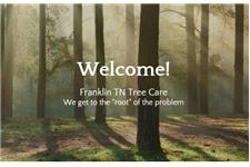 Franklin Tree Care image 1