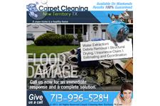 Carpet Cleaning New Territory TX image 3