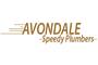 Avondale Speedy Plumbers logo