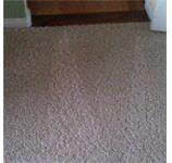 Ogden City Carpet Cleaning image 3
