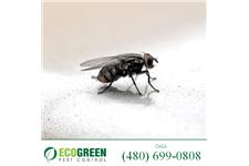 EcoGreen Pest Control image 8