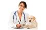 Cats & Dogs Animal Hospital, Dr. Greg Perrault logo