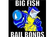 Big Fish Bail Bonds image 1