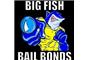Big Fish Bail Bonds logo
