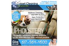Carpet Cleaning Newton MA image 4