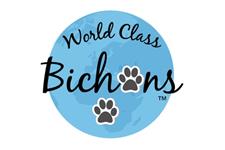 World Class Bichons image 1