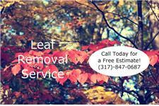 Indianapolis Leaf removal Service image 2
