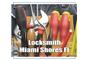 Locksmith Miami Shores FL logo