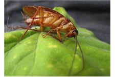 Premier Columbus Bed Bug Exterminators image 5