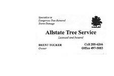 Allstate Tree Service image 1