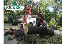 Rickert Landscaping & Tree Service image 8