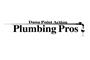 Dana Point Action Plumbing Pros logo