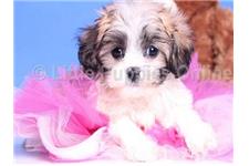 Little Puppies Online image 4