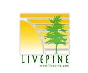 Live Pine image 1