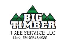 Big Timber Tree Service LLC image 1