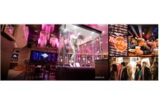 Hard Rock Cafe Hollywood image 1