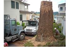 P And D Tree Service image 1