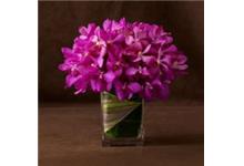 Nashville Florist & Home Decor image 3