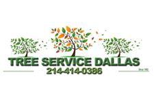 Tree service Dallas image 1