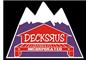 Decks R Us Inc. logo