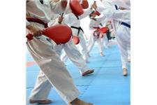 American International Karate Institute image 3