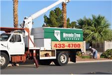 Nevada Tree Service image 3