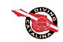 Diving Catalina logo