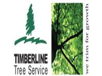 Timberline Tree Service image 1