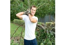 Edwards Tree & Land Clearing Services Inc image 2