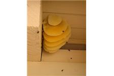 Desert Swarm Bee Removal, LLC image 5