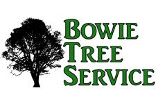 Bowie Tree Service image 1