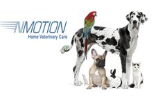 N Motion Home Veterinary Care image 2