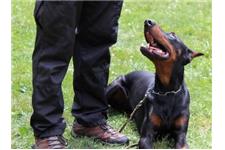 RCM Dog Training image 1