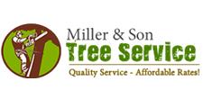 Miller Son Tree Service image 1