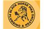 Black Horse Pike Plumbing & Heating  logo