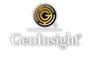 GeoInsight, Inc. logo