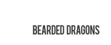 Raising Bearded Dragons image 1