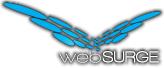 Web Surge image 1